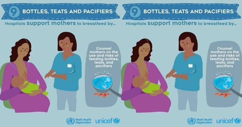 Dok. Nutrition and Food Safety